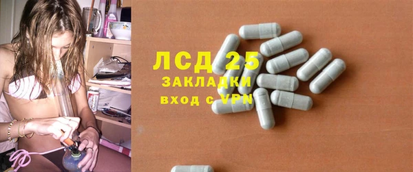 трава Пересвет