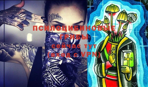 стафф Покачи