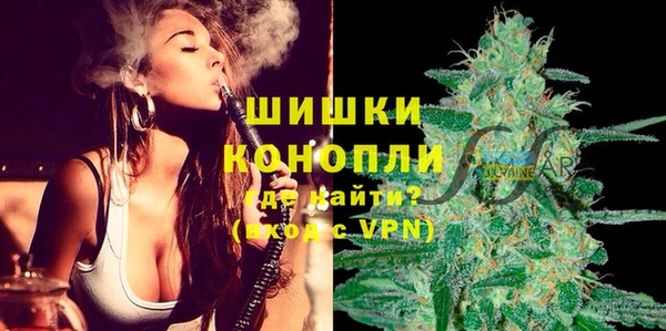 трава Пересвет