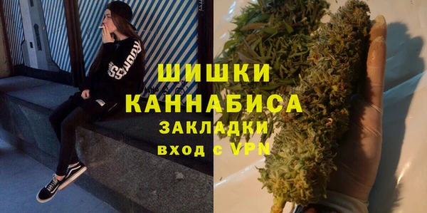 индика Иннополис