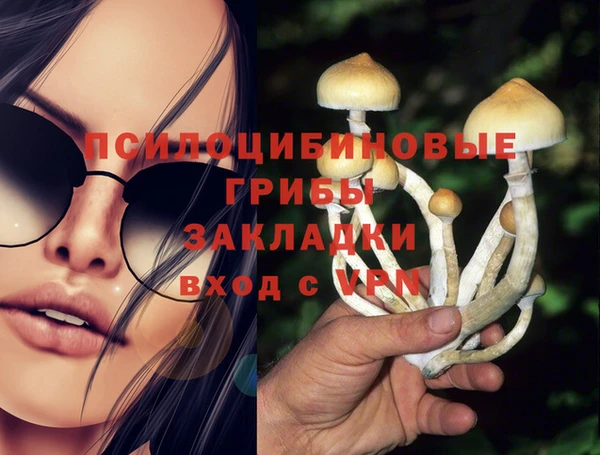 PSILOCYBIN Пестово