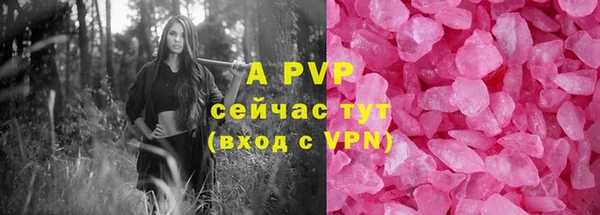 трава Пересвет