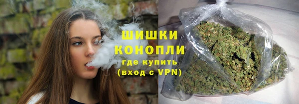 PSILOCYBIN Пестово